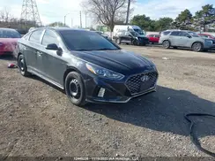 5NPE34AF9KH785065 2019 HYUNDAI SONATA