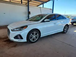5NPE34AF9KH786023 2019 HYUNDAI SONATA