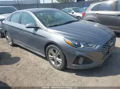 5NPE34AF9KH789522 2019 HYUNDAI SONATA