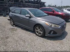 5NPE34AF9KH795868 2019 HYUNDAI SONATA