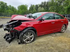 5NPE34AF9KH799547 2019 HYUNDAI SONATA