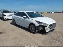 5NPE34AF9KH808506 2019 HYUNDAI SONATA