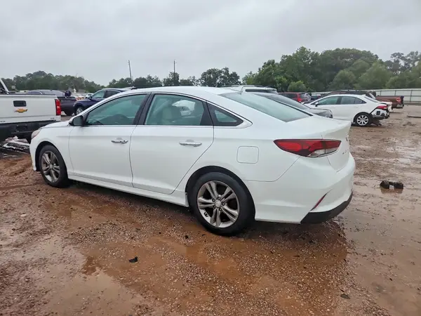 5NPE34AF9KH815455 2019 HYUNDAI SONATA - Image 2