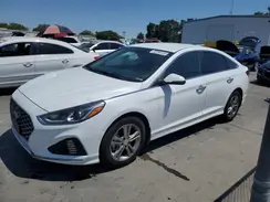 5NPE34AF9KH817156 2019 HYUNDAI SONATA