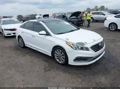 5NPE34AFXGH300343 2016 HYUNDAI SONATA