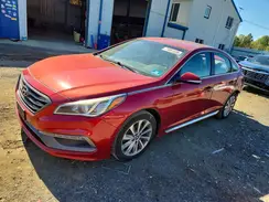 5NPE34AFXGH311262 2016 HYUNDAI SONATA
