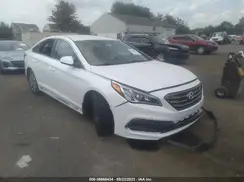 5NPE34AFXGH311908 2016 HYUNDAI SONATA