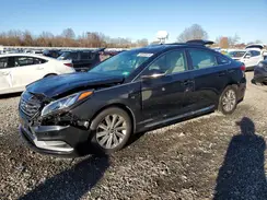 5NPE34AFXGH360798 2016 HYUNDAI SONATA