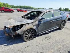 5NPE34AFXGH365340 2016 HYUNDAI SONATA