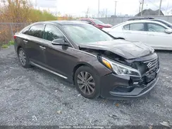 5NPE34AFXGH379884 2016 HYUNDAI SONATA