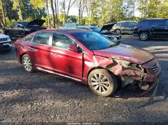 5NPE34AFXGH393655 2016 HYUNDAI SONATA