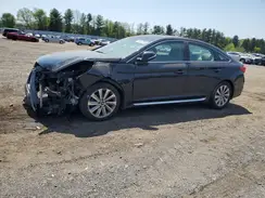 5NPE34AFXGH407392 2016 HYUNDAI SONATA