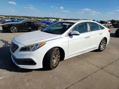 5NPE34AFXGH414147 2016 HYUNDAI SONATA