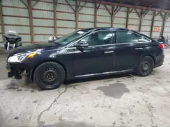 5NPE34AFXGH428288 2016 HYUNDAI SONATA