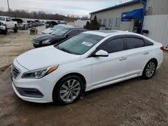 5NPE34AFXHH500396 2017 HYUNDAI SONATA