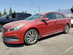 5NPE34AFXHH507834 2017 HYUNDAI SONATA
