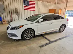 5NPE34AFXHH514394 2017 HYUNDAI SONATA
