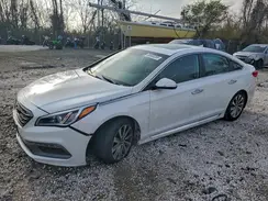 5NPE34AFXHH526979 2017 HYUNDAI SONATA