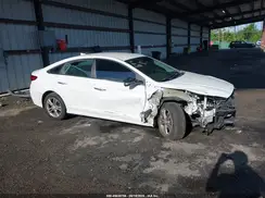 5NPE34AFXKH731192 2019 HYUNDAI SONATA
