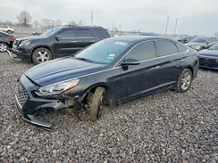 5NPE34AFXKH731838 2019 HYUNDAI SONATA