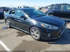5NPE34AFXKH732696 2019 HYUNDAI SONATA