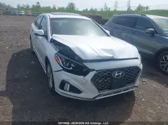 5NPE34AFXKH748977 2019 HYUNDAI SONATA