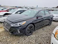 5NPE34AFXKH761552 2019 HYUNDAI SONATA