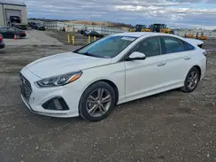 5NPE34AFXKH768212 2019 HYUNDAI SONATA