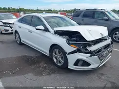 5NPE34AFXKH772292 2019 HYUNDAI SONATA