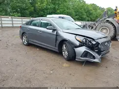 5NPE34AFXKH776097 2019 HYUNDAI SONATA