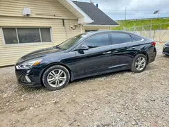 5NPE34AFXKH785561 2019 HYUNDAI SONATA