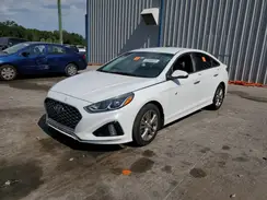5NPE34AFXKH790307 2019 HYUNDAI SONATA