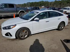 5NPE34AFXKH797595 2019 HYUNDAI SONATA