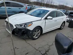 5NPE34AFXKH802004 2019 HYUNDAI SONATA