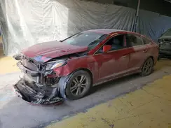 5NPE34AFXKH805601 2019 HYUNDAI SONATA