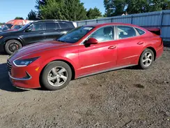 5NPEG4JA3LH023165 2020 HYUNDAI SONATA