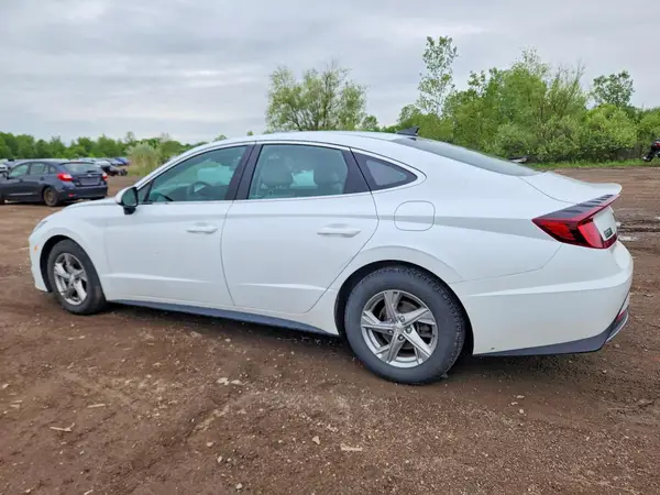 5NPEG4JA4LH021036 2020 HYUNDAI SONATA - Image 2