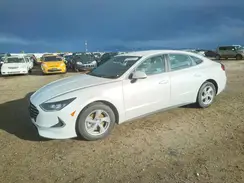 5NPEG4JA4LH056143 2020 HYUNDAI SONATA