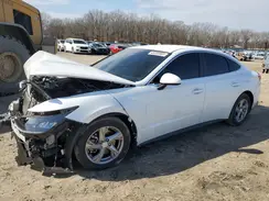 5NPEG4JA6LH024441 2020 HYUNDAI SONATA
