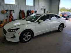 5NPEG4JA6LH056290 2020 HYUNDAI SONATA