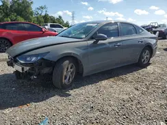 5NPEG4JA7LH004974 2020 HYUNDAI SONATA