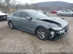 5NPEG4JA7LH060302 2020 HYUNDAI SONATA
