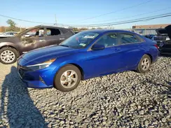 5NPLL4AG0MH050302 2021 HYUNDAI ELANTRA
