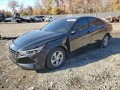 5NPLL4AG0PH091677 2023 HYUNDAI ELANTRA