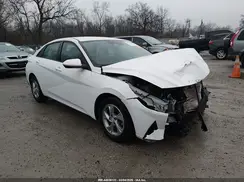 5NPLL4AG1PH106719 2023 HYUNDAI ELANTRA