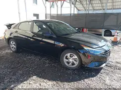 5NPLL4AG1PH117025 2023 HYUNDAI ELANTRA