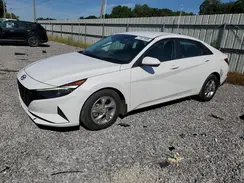 5NPLL4AG3PH110058 2023 HYUNDAI ELANTRA