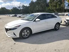 5NPLL4AG4PH100929 2023 HYUNDAI ELANTRA