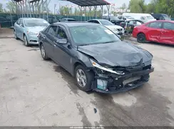 5NPLL4AG4PH113342 2023 HYUNDAI ELANTRA