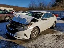 5NPLL4AG6PH086421 2023 HYUNDAI ELANTRA